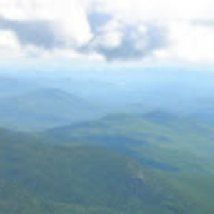 Meet your Posher, Brady